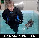   ,   
:  swimming-cat_1929173i.jpg
: 202
:  58,0 
ID:	186364