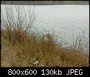   ,   
:  08122011219-1.jpg
: 900
:  130,4 
ID:	156802