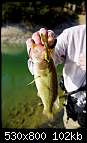   ,   
:  2- . Big Bite Baits Flying Squirrel 5.jpg
: 5740
:  101,8 
ID:	335227