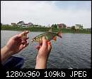   ,   
:  20130504_124448.jpg
: 470
:  109,0 
ID:	266186