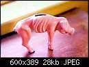   ,   
:  pig_600x389.jpg
: 206
:  28,1 
ID:	126139