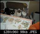   ,   
:  DSC00113.jpg
: 1135
:  98,4 
ID:	104711