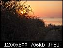   ,   
:  IMG_8649_resize.jpg
: 476
:  705,8 
ID:	367776