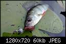   ,   
:  WP_20130907_004.jpg
: 406
:  59,5 
ID:	292971