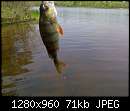   ,   
:  17052008512.jpg
: 227
:  71,0 
ID:	15613