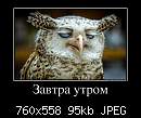   ,   
:  0411223_zavtra-utrom.jpg
: 80
:  95,0 
ID:	379095