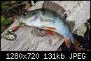   ,   
:  perch1.jpg
: 648
:  131,0 
ID:	369988