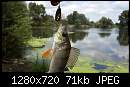   ,   
:  perch2.jpg
: 628
:  70,7 
ID:	369989